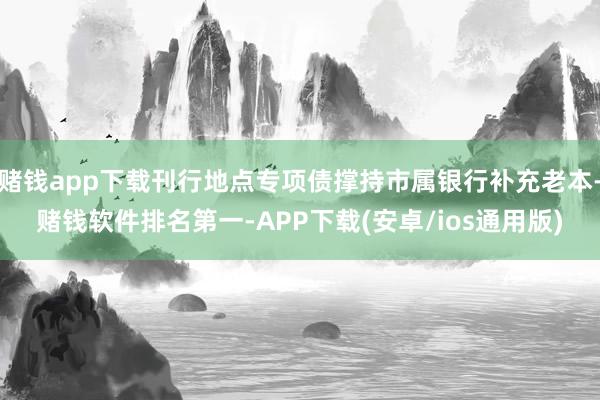 赌钱app下载刊行地点专项债撑持市属银行补充老本-赌钱软件排名第一-APP下载(安卓/ios通用版)