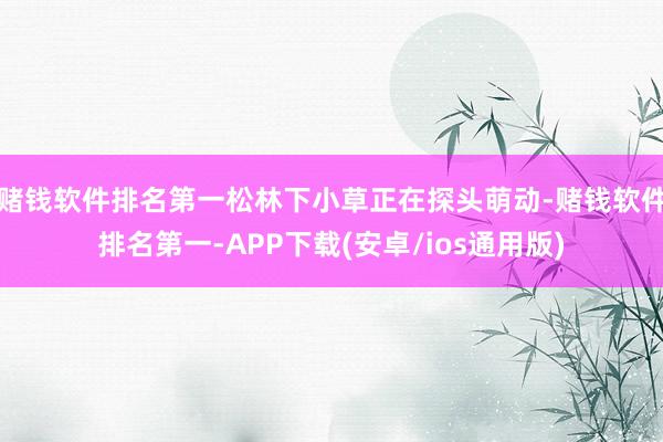 赌钱软件排名第一松林下小草正在探头萌动-赌钱软件排名第一-APP下载(安卓/ios通用版)