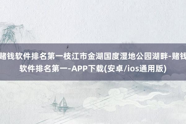 赌钱软件排名第一枝江市金湖国度湿地公园湖畔-赌钱软件排名第一-APP下载(安卓/ios通用版)