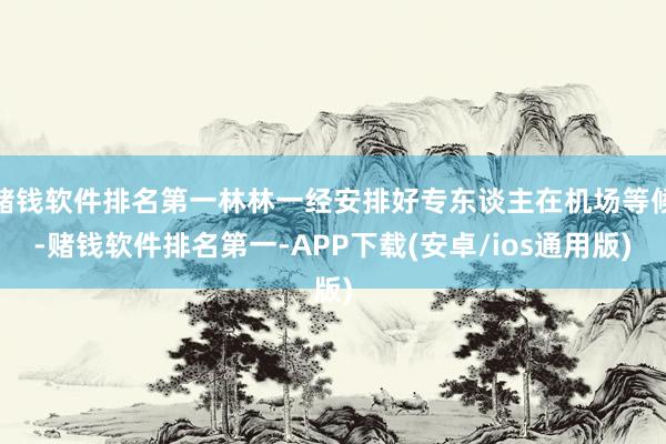 赌钱软件排名第一林林一经安排好专东谈主在机场等候-赌钱软件排名第一-APP下载(安卓/ios通用版)