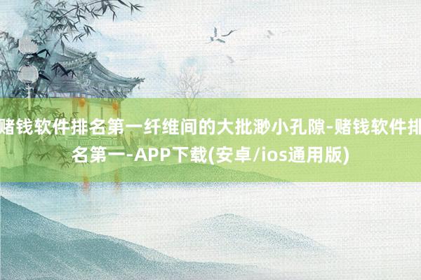 赌钱软件排名第一纤维间的大批渺小孔隙-赌钱软件排名第一-APP下载(安卓/ios通用版)