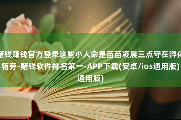 赌钱赚钱官方登录这些小人命是苗苗凌晨三点守在孵化箱旁-赌钱软件排名第一-APP下载(安卓/ios通用版)