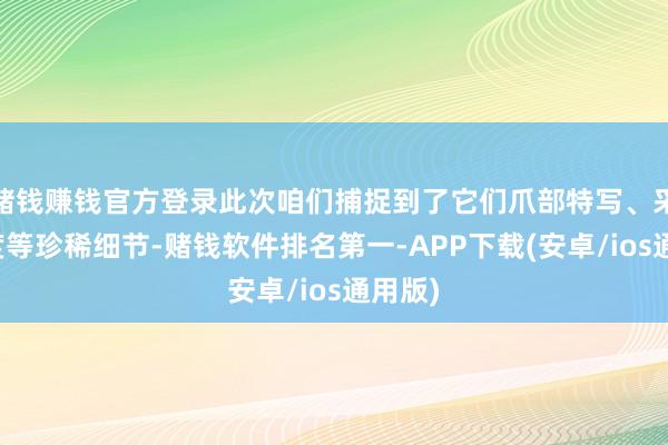 赌钱赚钱官方登录此次咱们捕捉到了它们爪部特写、采食角度等珍稀细节-赌钱软件排名第一-APP下载(安卓/ios通用版)