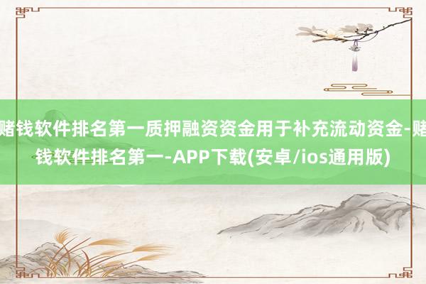 赌钱软件排名第一质押融资资金用于补充流动资金-赌钱软件排名第一-APP下载(安卓/ios通用版)